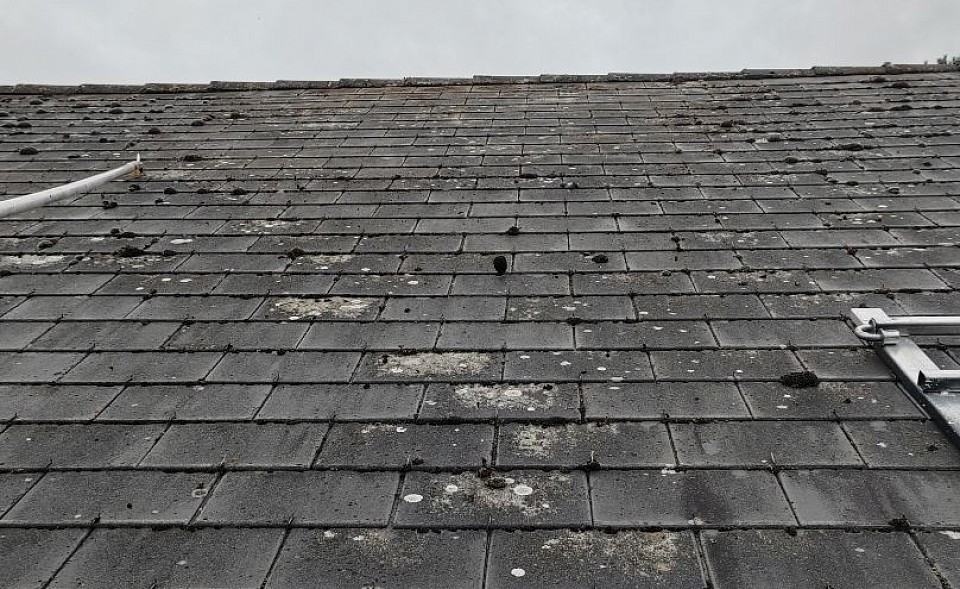 Brossage manuel des mousses