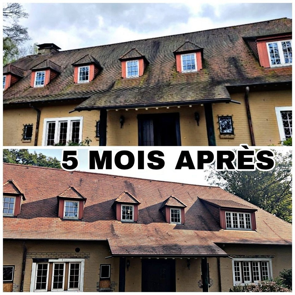 Traitement anti-mousse Dalep2100